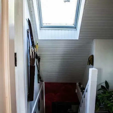 Guest house Acu Rem Tetigisti