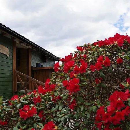 بيت ضيافة Acu Rem Tetigisti