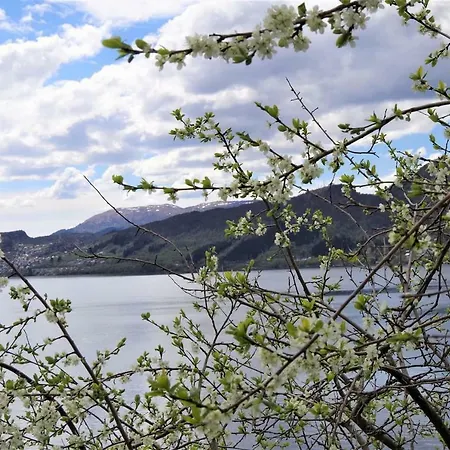 Acu Rem Tetigisti * Reistad (Hordaland)