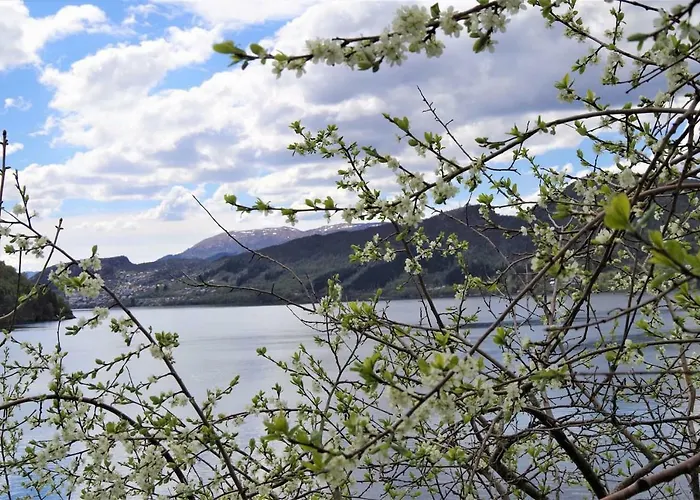 Acu Rem Tetigisti * Reistad (Hordaland)