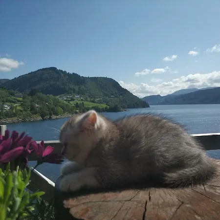 Acu Rem Tetigisti Affittacamere