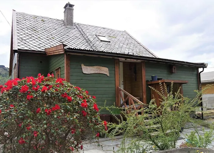 Acu Rem Tetigisti 招待所